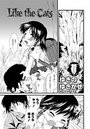 Like the Catsのイメージ画像