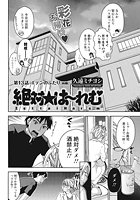 絶対☆は~れむ(13)の表紙