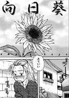 向日葵のイメージ画像