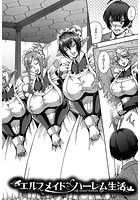 エルフメイドとハーレム生活のイメージ画像