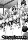 エルフメイドとハーレム生活のイメージ画像