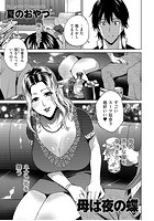 母は夜の蝶のイメージ画像