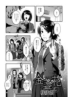 金盞花のイメージ画像