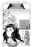 晩夏の花のイメージ画像