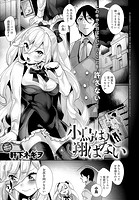 小鳥は翔ばないのイメージ画像