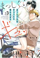 まっしぐらなギュッとに慣れるまで （3）のイメージ画像