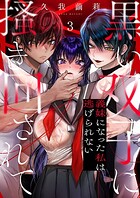 黒い双子に掻き回されて〜義妹になった私は逃げられない3のイメージ画像