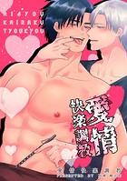 愛情快楽調教のイメージ画像