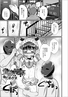 貴族陥落のイメージ画像