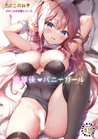きのこのみ学園シリーズ 放課後バニーガール2の表紙