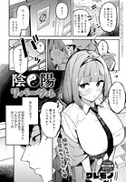陰陽リバーサルのイメージ画像