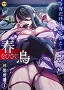 春をひさぐ鳥〜今宵だけはあなたと…〜【18禁】のイメージ画像