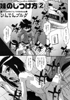 妹のしつけ方（2）の表紙