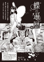 蝶の遍歴のイメージ画像