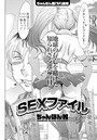 SEXファイルのイメージ画像