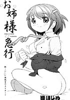 お姉様急行のイメージ画像