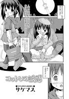 コットンの誘惑のイメージ画像