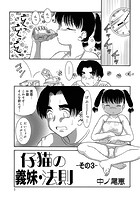 義妹・仔猫の法則 03のイメージ画像